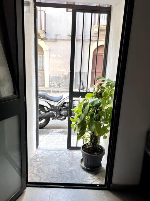 Casa Barbara 17 Daire Katanya Dış mekan fotoğraf